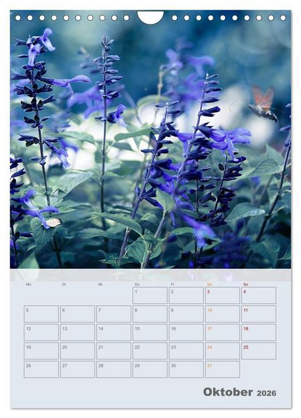 Produktbild: Magie im Garten (Wandkalender 2026 DIN A4 hoch), CALVENDO Monatskalender