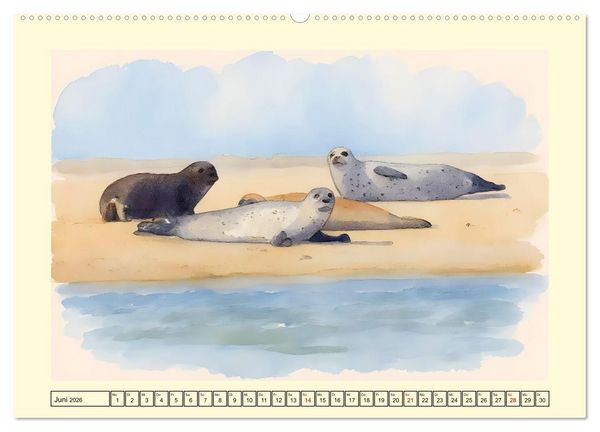 Produktbild: BORKUM Perle der Nordsee (Wandkalender 2026 DIN A2 quer), CALVENDO Monatskalender