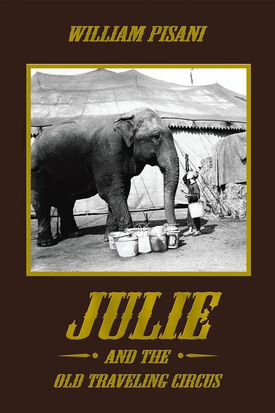 Produktbild: Julie and the Old Traveling Circus
