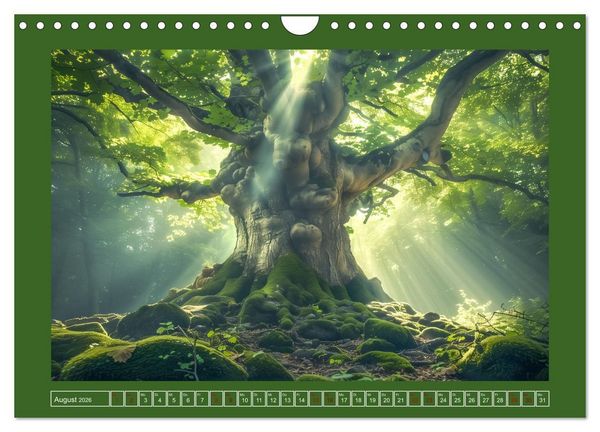 Produktbild: Die Zeitreisenden des Waldes (Wandkalender 2026 DIN A4 quer), CALVENDO Monatskalender