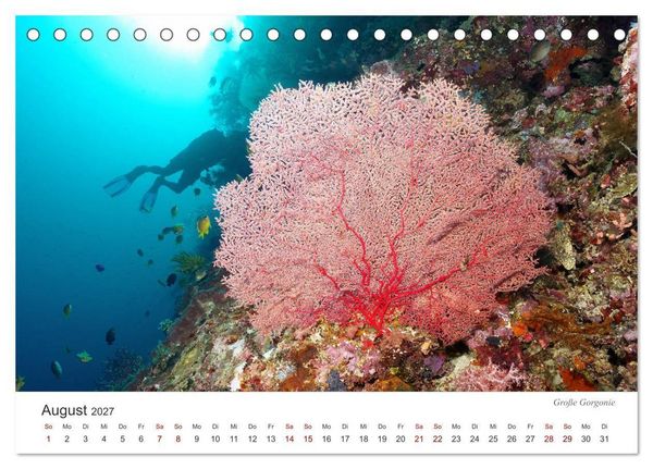 Produktbild: Unterwasser - eine bunte Welt (Tischkalender 2027 DIN A5 quer), CALVENDO Monatskalender