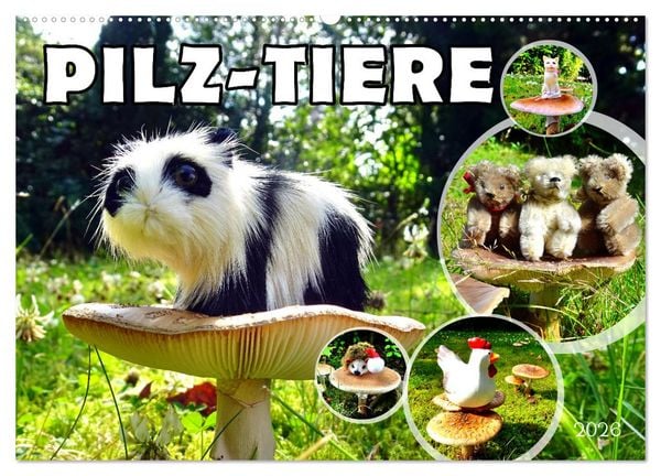 Produktbild: Pilz-Tiere (Wandkalender 2026 DIN A2 quer), CALVENDO Monatskalender