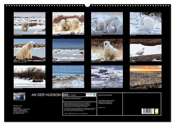 Produktbild: AN DER HUDSON BAY (Wandkalender 2026 DIN A2 quer), CALVENDO Monatskalender