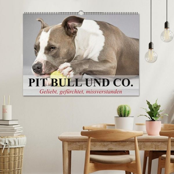 Produktbild: Pit Bull und Co. - Geliebt, gef&uuml;rchtet, missverstanden (Wandkalender 2026 DIN A2 quer), CALVENDO Monatskalender