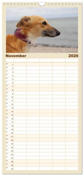 Produktbild: Familienplaner 2026 - Der Silken Windsprite - ein Seelenhund mit 5 Spalten (Wandkalender, 21 x 45 cm) CALVENDO