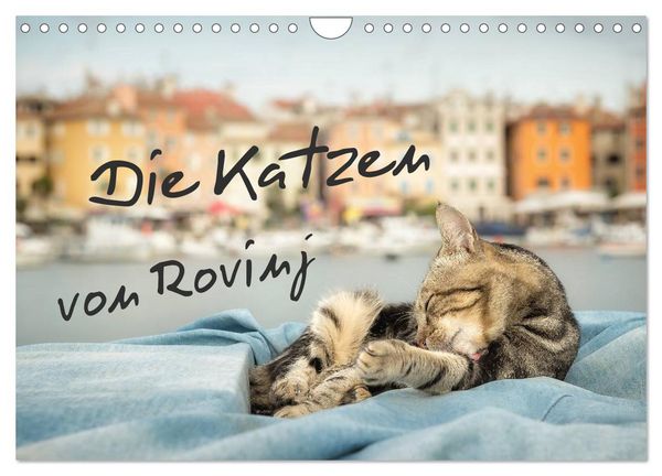 Produktbild: Die Katzen von Rovinj (Wandkalender 2026 DIN A4 quer), CALVENDO Monatskalender