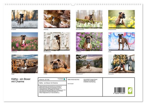 Produktbild: K&auml;the - ein Boxer mit Charme (hochwertiger Premium Wandkalender 2026 DIN A2 quer), Kunstdruck in Hochglanz