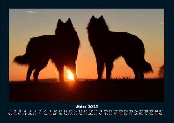 Produktbild: Sonnenuntergang 2025 Fotokalender DIN A4