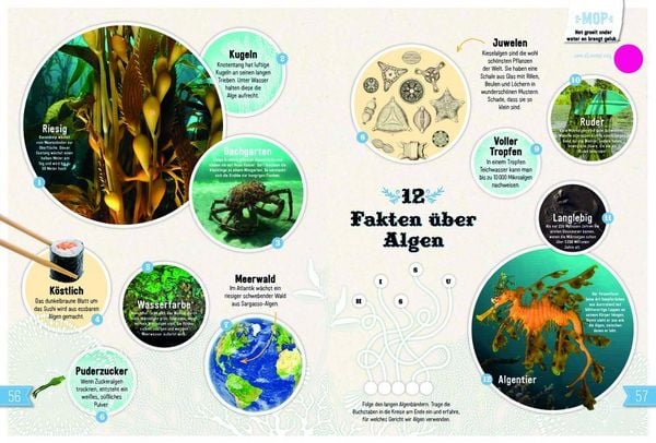 Produktbild: UNTER WASSER
