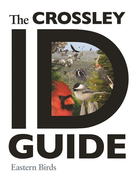 Produktbild: Crossley ID Guide