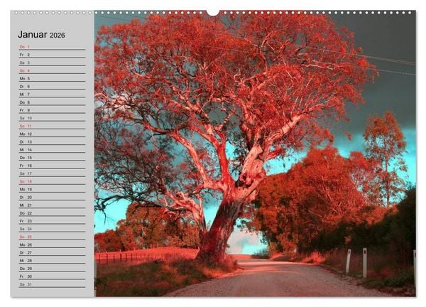 Produktbild: Australien. Impressionen (Wandkalender 2026 DIN A2 quer), CALVENDO Monatskalender