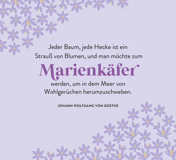 Produktbild: Ein Meer aus Bl&uuml;ten