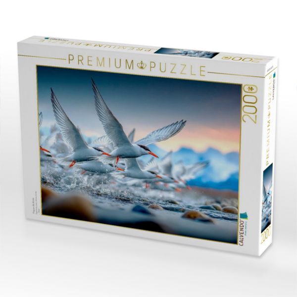 Produktbild: CALVENDO Puzzle Flug an die K&uuml;ste | 2000 Teile Lege-Gr&ouml;&szlig;e 90x67cm Foto-Puzzle f&uuml;r gl&uuml;ckliche Stunden