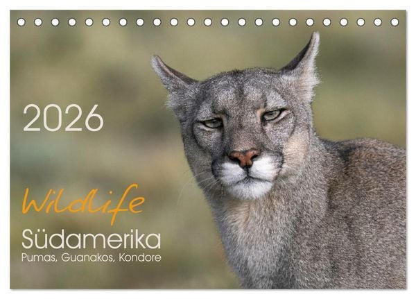 Wildlife Südamerika (Tischkalender 2026 DIN A5 quer), CALVENDO Monatskalender