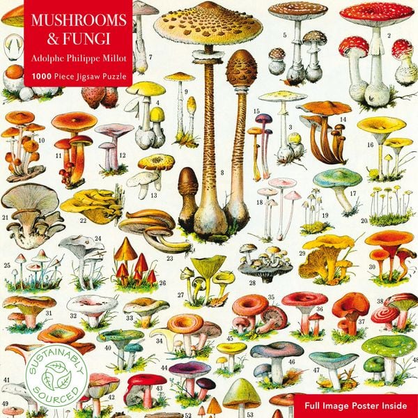 Produktbild: Puzzle &ndash; Adolphe Philippe Millot, Pilze und Pilzarten