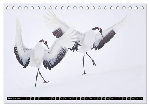 Produktbild: Japanische Vogelwelt im Winter (Tischkalender 2026 DIN A5 quer), CALVENDO Monatskalender