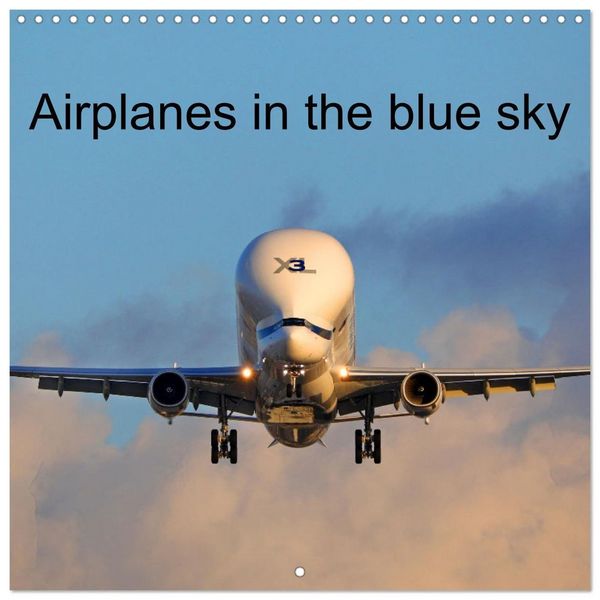 Produktbild: Gayde, F: Airplanes in the blue sky (Wall Calendar 2026 12 &times;