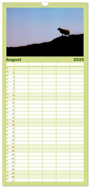 Produktbild: Familienplaner 2026 - Unter Schafen - Wegbegleiter auf Reisen mit 5 Spalten (Wandkalender, 21 x 45 cm) CALVENDO