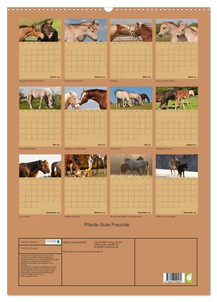 Produktbild: Pferde Gute Freunde (Wandkalender 2026 DIN A2 hoch), CALVENDO Monatskalender