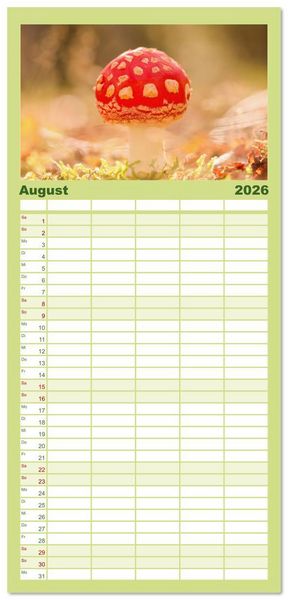 Produktbild: Familienplaner 2026 - Wundersame Pilzwelten mit 5 Spalten (Wandkalender, 21 x 45 cm) CALVENDO