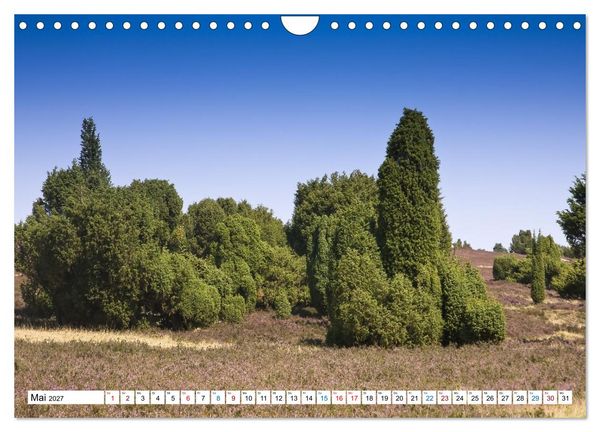 Produktbild: L&uuml;neburger Heide &ndash; Im Wandel der Jahreszeiten (Wandkalender 2027 DIN A4 quer), CALVENDO Monatskalender