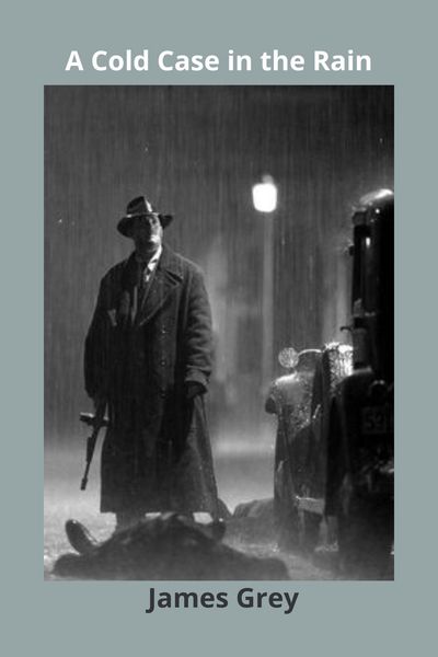 Produktbild: A Cold Case in the Rain