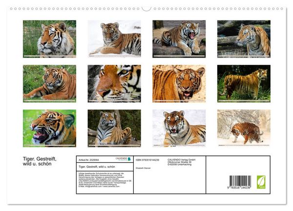 Produktbild: Tiger. Gestreift, wild u. sch&ouml;n (hochwertiger Premium Wandkalender 2026 DIN A2 quer), Kunstdruck in Hochglanz