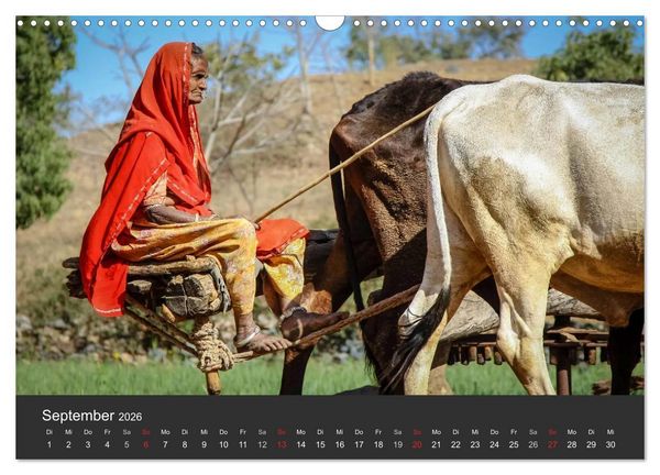 Produktbild: Indien 2026 Tempel, Tiger und Pal&auml;ste (Wandkalender 2026 DIN A3 quer), CALVENDO Monatskalender
