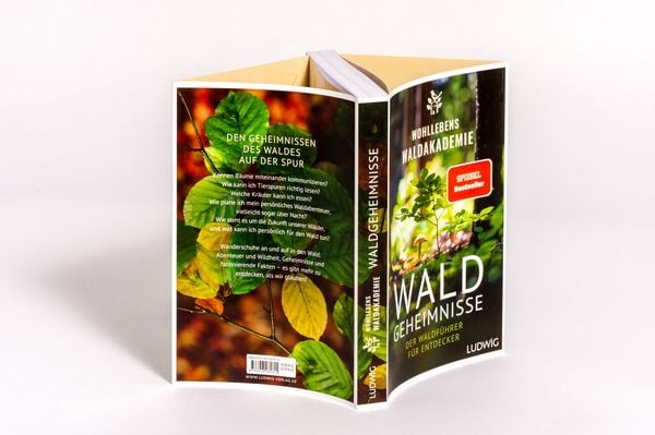 Produktbild: Waldgeheimnisse