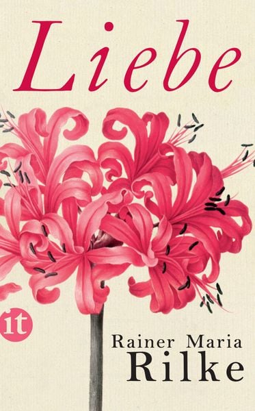 Produktbild: Liebe