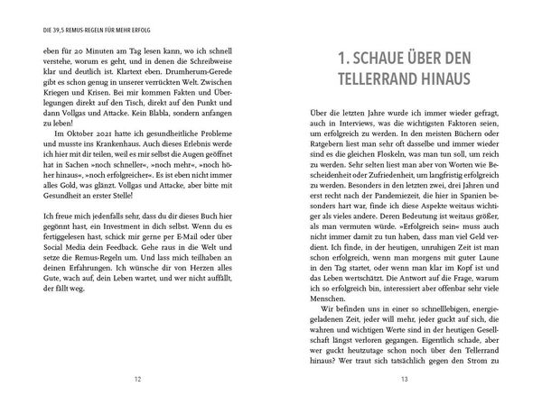 Produktbild: Die 39,5 Remus-Regeln f&uuml;r mehr Erfolg
