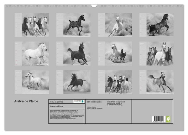 Produktbild: Arabische Pferde (Wandkalender 2026 DIN A2 quer), CALVENDO Monatskalender