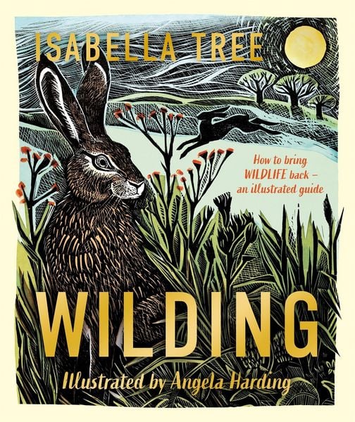 Produktbild: Wilding: How to Bring Wildlife Back - an Illustrated Guide