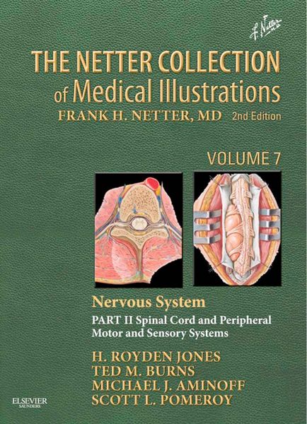 Produktbild: The Netter Collection of Medical Illustrations: Nervous System, Volume 7, Part II - Spinal Cord and Peripheral Motor and Sensory Systems