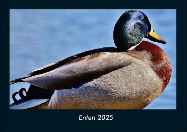 Produktbild: Enten 2025 Fotokalender DIN A4