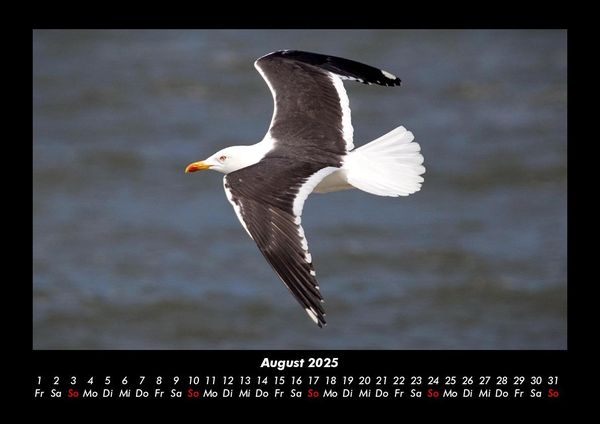 Produktbild: Vogelparadies 2025 Fotokalender DIN A3