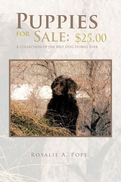 Produktbild: Puppies for Sale