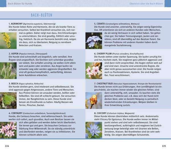 Produktbild: Hom&ouml;opathie f&uuml;r Hunde