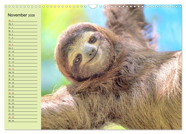 Produktbild: Der Faultier-Planer f&uuml;r mehr Ruhe und Gem&uuml;tlichkeit! (Wandkalender 2026 DIN A3 quer), CALVENDO Monatskalender