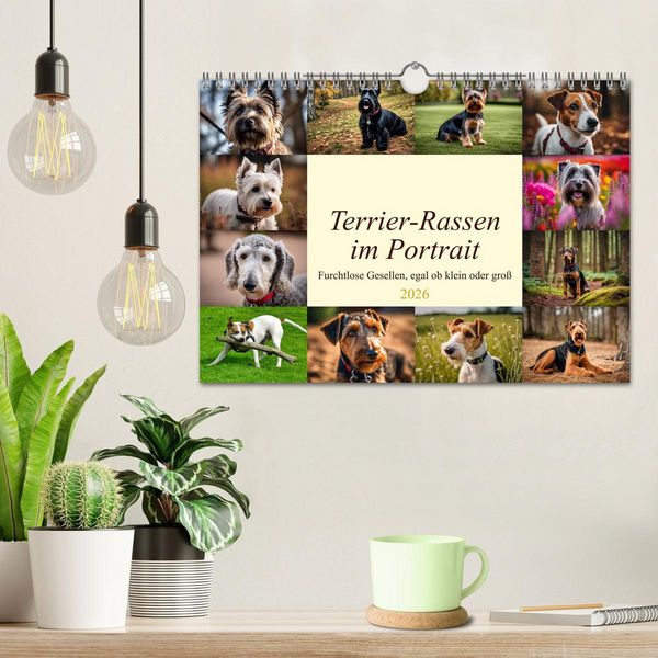 Produktbild: Terrier-Rassen im Portrait (Wandkalender 2026 DIN A4 quer), CALVENDO Monatskalender