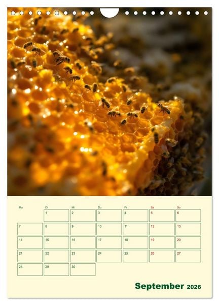 Produktbild: Bienenblick &ndash; Ein Jahr mit den Bienen (Wandkalender 2026 DIN A4 hoch), CALVENDO Monatskalender