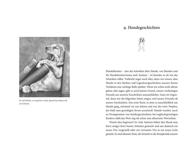 Produktbild: Des Hundes bester Freund