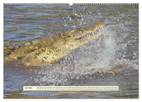 Produktbild: Reptilien des s&uuml;dlichen Afrikas (hochwertiger Premium Wandkalender 2026 DIN A2 quer), Kunstdruck in Hochglanz