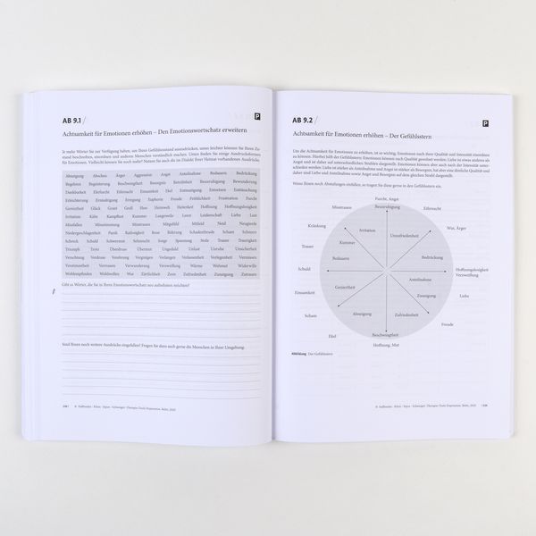 Produktbild: Therapie-Tools Depression