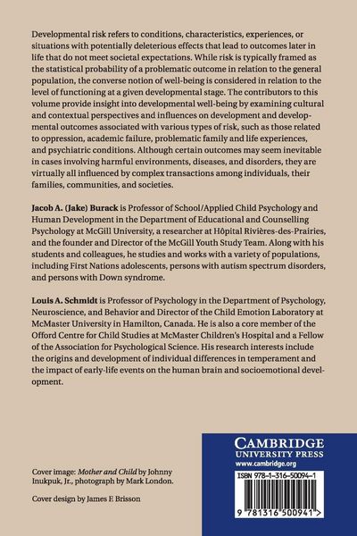 Produktbild: Cultural and Contextual Perspectives on Developmental Risk and Well-Being