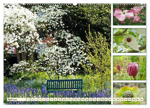 Produktbild: Im Hermannshof - Ein Traumgarten in Weinheim (hochwertiger Premium Wandkalender 2026 DIN A2 quer), Kunstdruck in Hochglanz