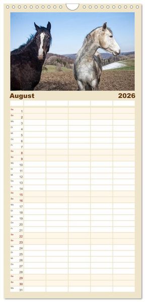 Produktbild: Familienplaner 2026 - Pferde - kraftvolle Eleganz mit 5 Spalten (Wandkalender, 21 x 45 cm) CALVENDO