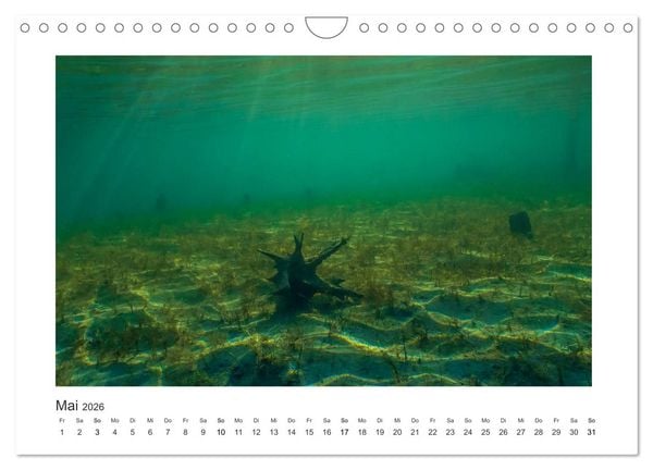Produktbild: Unter Wasser in B&auml;chen und Fl&uuml;ssen (Wandkalender 2026 DIN A4 quer), CALVENDO Monatskalender