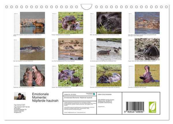 Produktbild: Emotionale Momente: Nilpferde hautnah (Wandkalender 2026 DIN A4 quer), CALVENDO Monatskalender