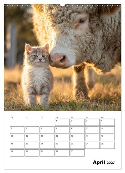 Produktbild: Ein Herz und eine Schnauze - Ein tierisch buntes Miteinander (Wandkalender 2027 DIN A2 hoch), CALVENDO Monatskalender